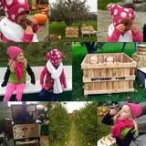 Butternut Farm Pumpkin Picking photo