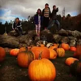 Butternut Farm Pumpkin Picking photo
