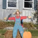 Butternut Farm Pumpkin Picking photo