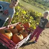 Butternut Farm Pumpkin Picking photo