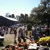 Butternut Farm Pumpkin Picking photo