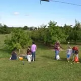 Branstool Orchards photo