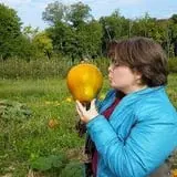 Branstool Orchards photo