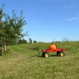 Branstool Orchards photo