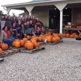 Branstool Orchards photo