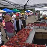 Branstool Orchards photo