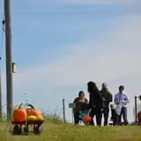 Branstool Orchards photo