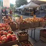 Branstool Orchards photo