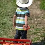 Branstool Orchards photo