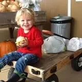 Branstool Orchards photo