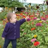 Branstool Orchards photo