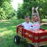 Branstool Orchards photo