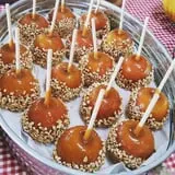 Branstool Orchards photo