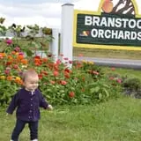 Branstool Orchards photo