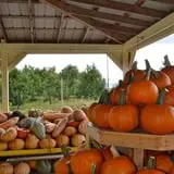 Branstool Orchards photo