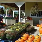 Branstool Orchards photo