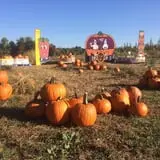 Branstool Orchards photo