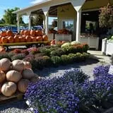 Branstool Orchards photo