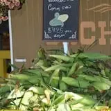 Branstool Orchards photo
