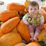 Branstool Orchards photo