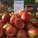 Branstool Orchards photo