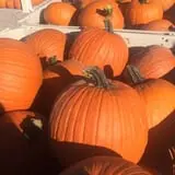 Branstool Orchards photo