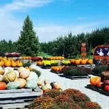 Branstool Orchards photo