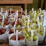 Branstool Orchards photo