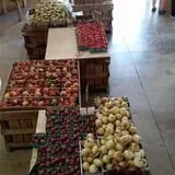 Branstool Orchards photo