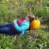 Branstool Orchards photo
