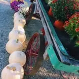 Branstool Orchards photo