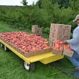 Branstool Orchards photo
