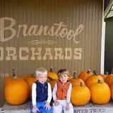 Branstool Orchards photo