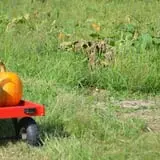 Branstool Orchards photo