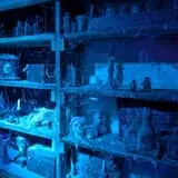 The Haunt Grand Rapids Michigan photo