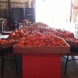 Blacks Heritage Farm photo