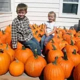 Blacks Heritage Farm photo