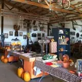 Blacks Heritage Farm photo