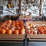 Blacks Heritage Farm photo