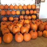 Blacks Heritage Farm photo