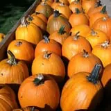 Blacks Heritage Farm photo