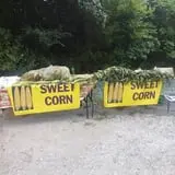 Blacks Heritage Farm photo