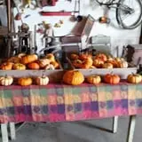Blacks Heritage Farm photo