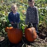 Blacks Heritage Farm photo