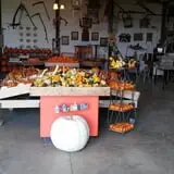 Blacks Heritage Farm photo