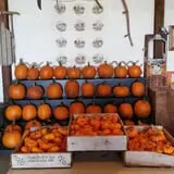 Blacks Heritage Farm photo
