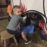 Country Days Corn Maze photo