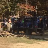 Country Days Corn Maze photo