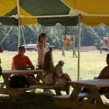 Country Days Corn Maze photo