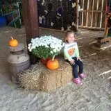 Country Days Corn Maze photo